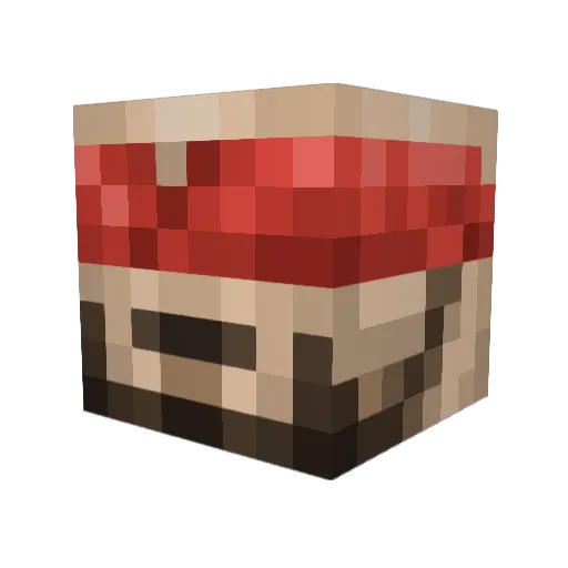 Melojoss Minecraft avatar head, 3D render
