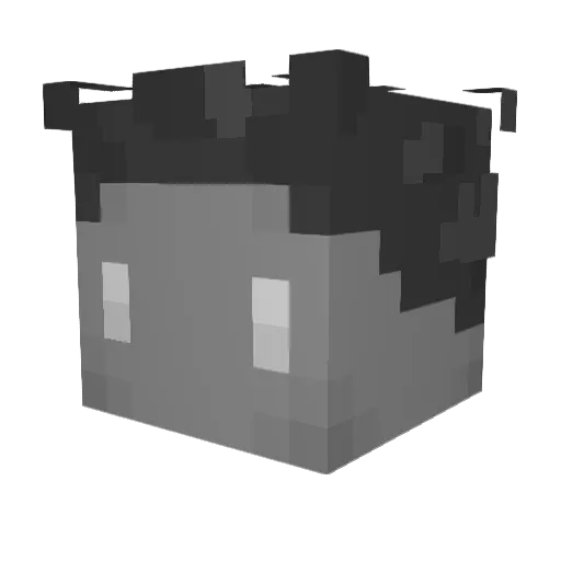 Melon375056 Minecraft avatar head, 3D render