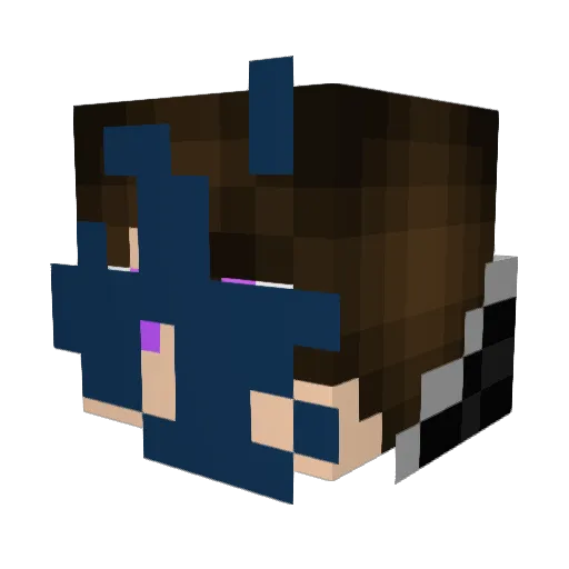 MelonBot79 Minecraft avatar head, 3D render