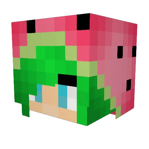 MelonDiff Minecraft avatar head, 3D render