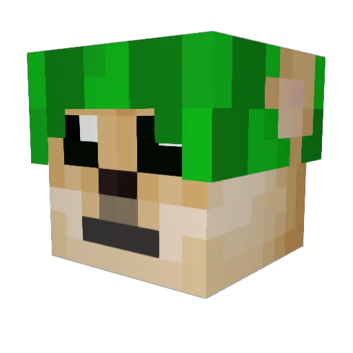 MelonDogLOL Minecraft avatar head, 3D render