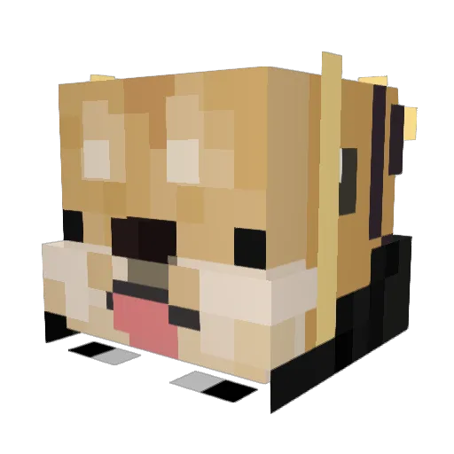 MelonDoge_L Minecraft avatar head, 3D render
