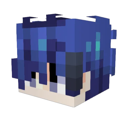 MelonFelonies Minecraft avatar head, 3D render