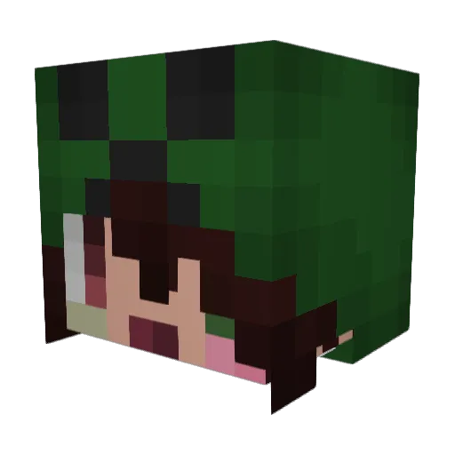 MelonFuckker Minecraft avatar head, 3D render