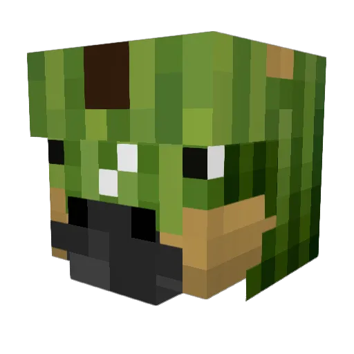 MelonIsNotAFruit Minecraft avatar head, 3D render