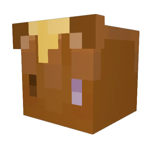 MelonMaster324 Minecraft avatar head, 3D render