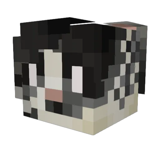 MelonMaws Minecraft avatar head, 3D render