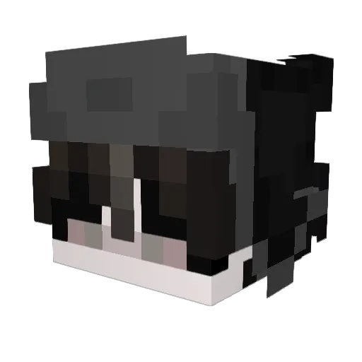 MelonNoLikeNinja Minecraft avatar head, 3D render