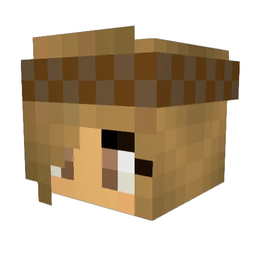 MelonPie2468 Minecraft avatar head, 3D render
