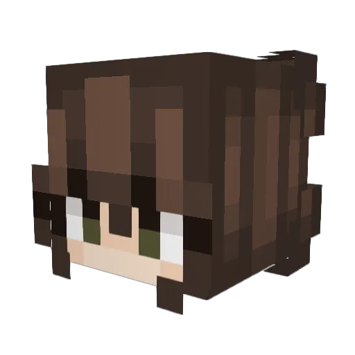 MelonSeal Minecraft avatar head, 3D render
