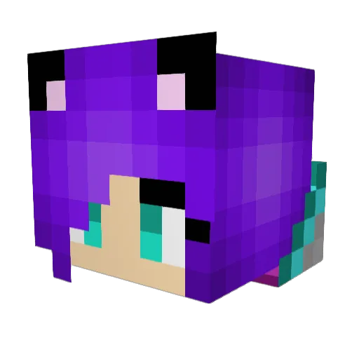 MelonTech Minecraft avatar head, 3D render