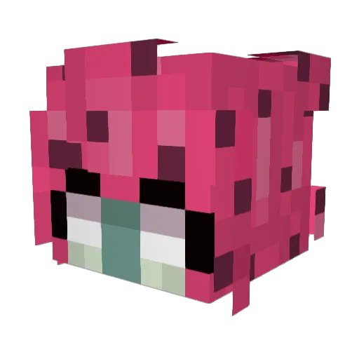 Melon_Gaming Minecraft avatar head, 3D render