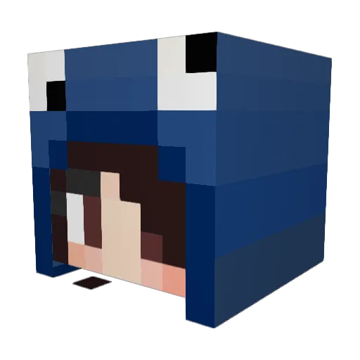 Melona6 Minecraft avatar head, 3D render