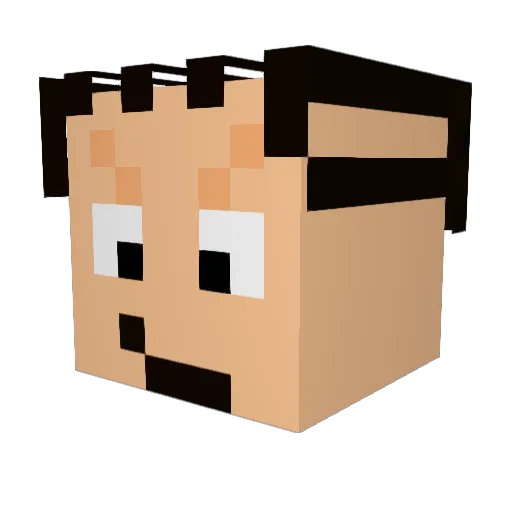 MelonaCoco Minecraft avatar head, 3D render