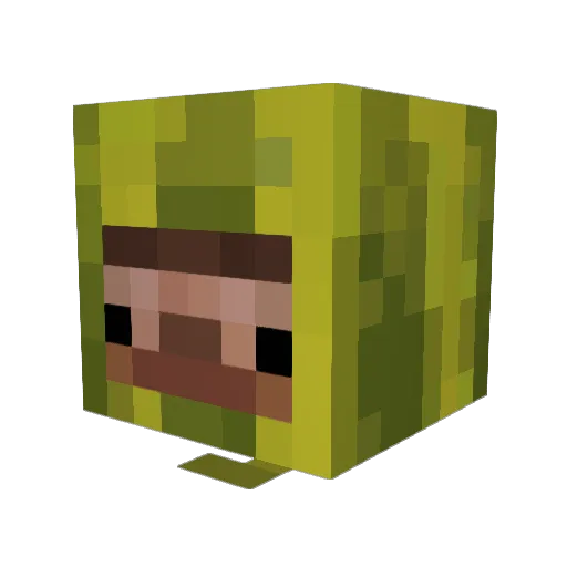 Melonboy28 Minecraft avatar head, 3D render