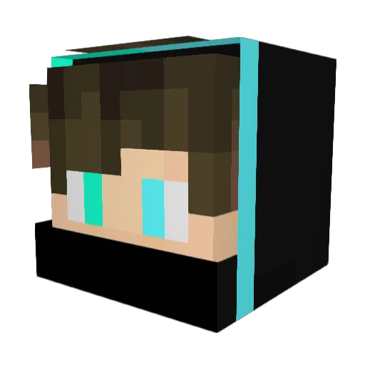Melone2803 Minecraft avatar head, 3D render