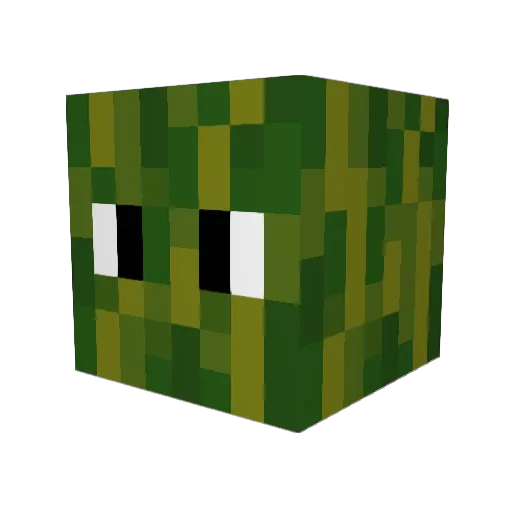 Melone_YT Minecraft avatar head, 3D render