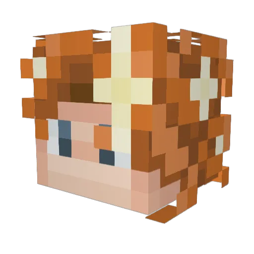 MelonenBoss_4 Minecraft avatar head, 3D render