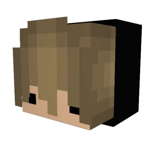 Melonengamer4 Minecraft avatar head, 3D render