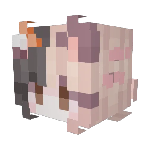 Melonimate Minecraft avatar head, 3D render