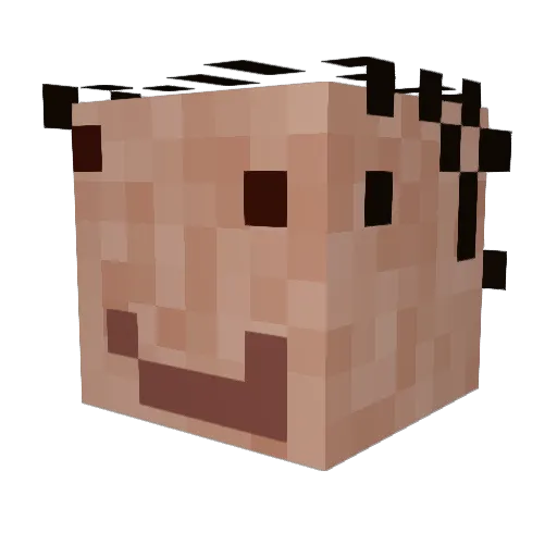 Melonomics Minecraft avatar head, 3D render