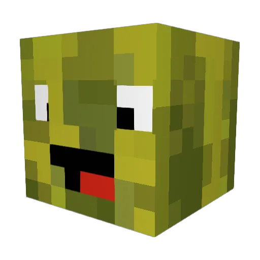 Melons_1 Minecraft avatar head, 3D render