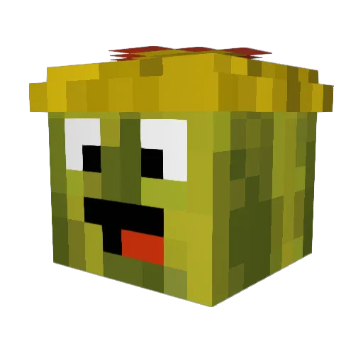 Melons_3 Minecraft avatar head, 3D render