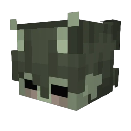 MelooC Minecraft avatar head, 3D render