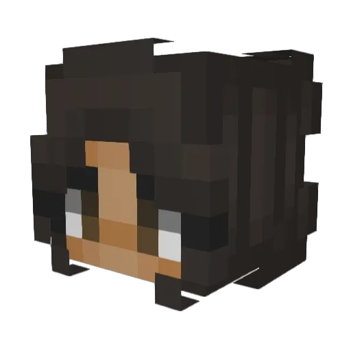 Meloverr Minecraft avatar head, 3D render