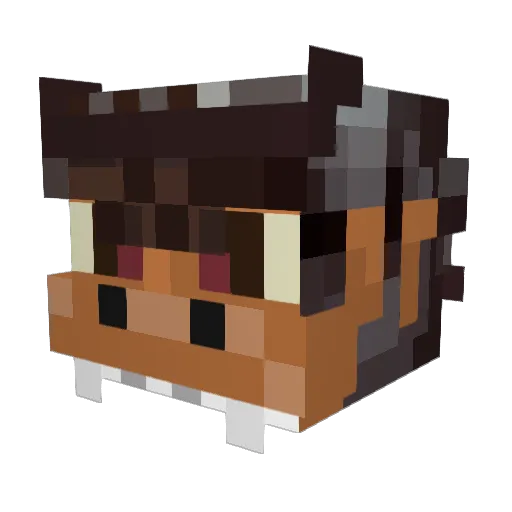 Melozr Minecraft avatar head, 3D render