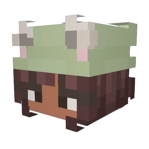 MelsSimp Minecraft avatar head, 3D render
