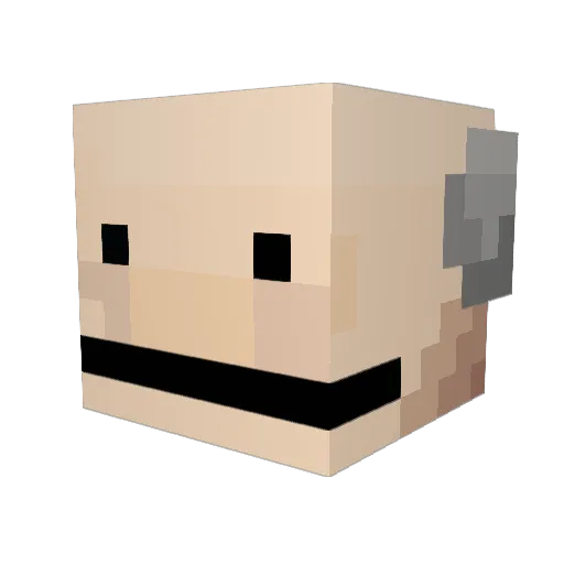 MeltedCarrot175 Minecraft avatar head, 3D render