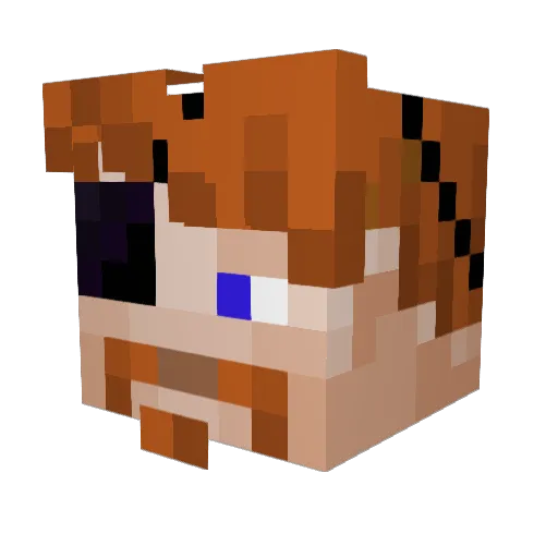 MeltedComet8 Minecraft avatar head, 3D render