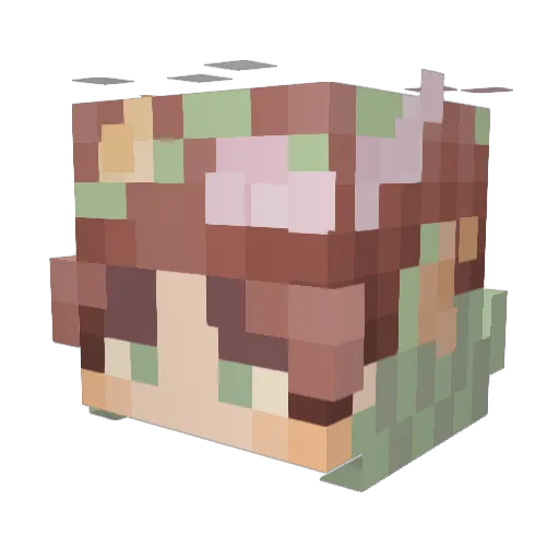 MeltedStatic Minecraft avatar head, 3D render