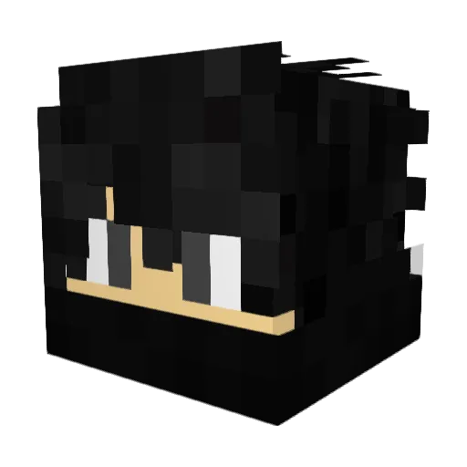 Meltex_ Minecraft avatar head, 3D render