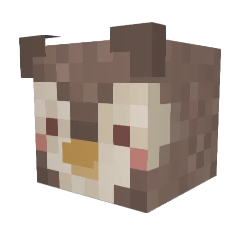 MeltingOwl Minecraft avatar head, 3D render