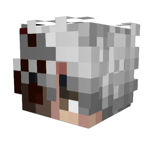 Meltroh Minecraft avatar head, 3D render