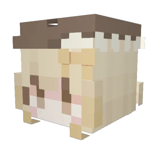 Meluy Minecraft avatar head, 3D render