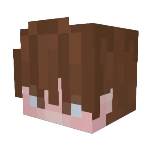 Melvilei Minecraft avatar head, 3D render