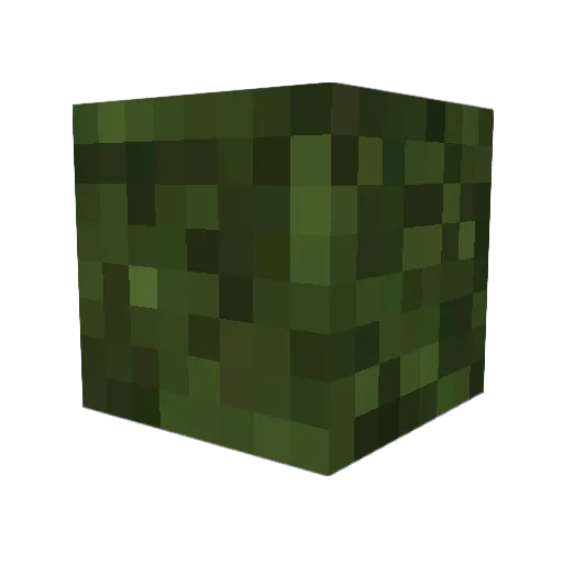 Melvin1028 Minecraft avatar head, 3D render