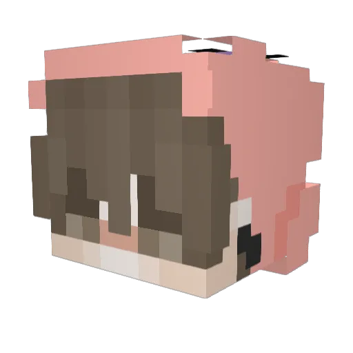 Mely343 Minecraft avatar head, 3D render