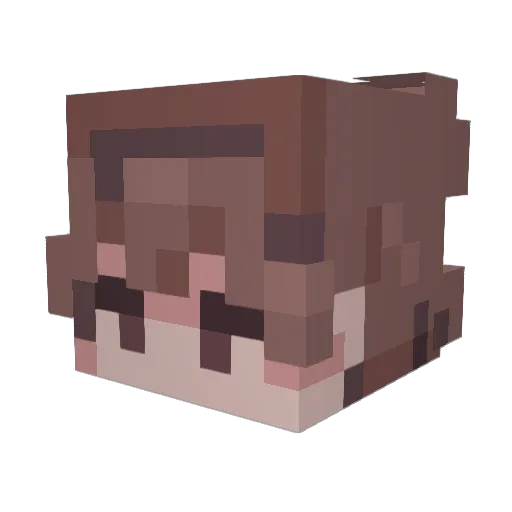 MemeDrone Minecraft avatar head, 3D render