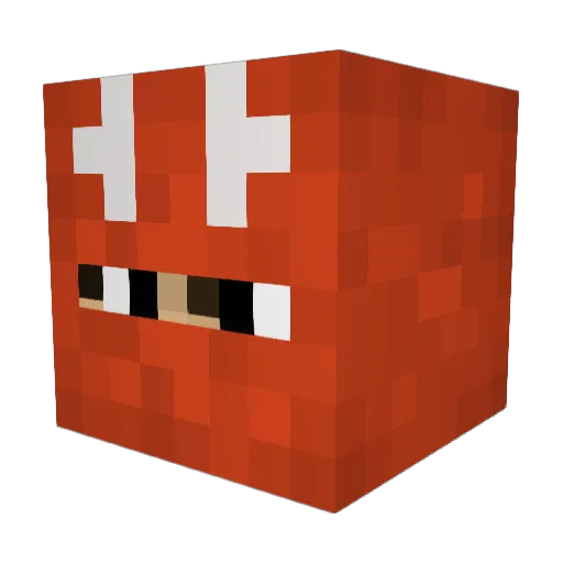 MemeLord2127 Minecraft avatar head, 3D render