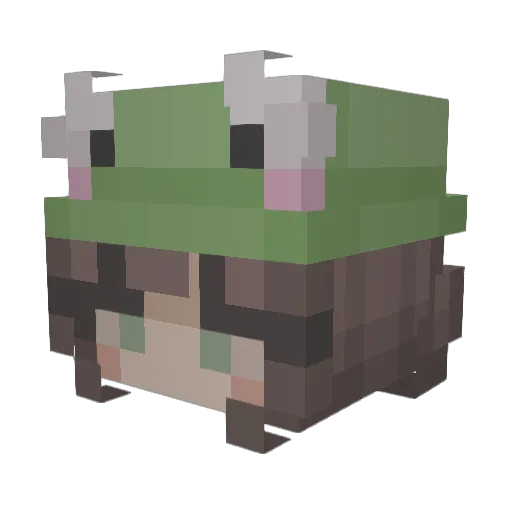 Meme_master1 Minecraft avatar head, 3D render