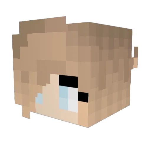 Memeeees Minecraft avatar head, 3D render