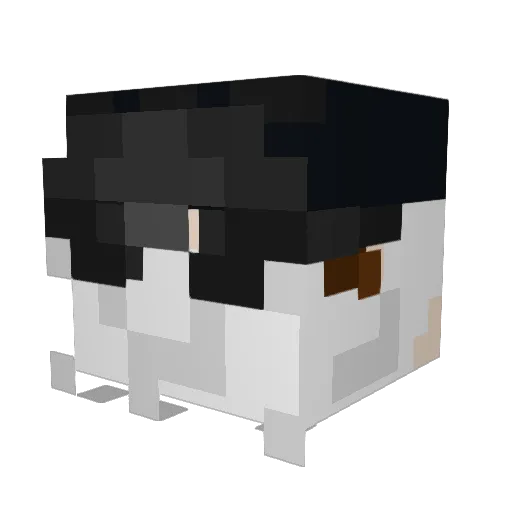 Memenized_ Minecraft avatar head, 3D render