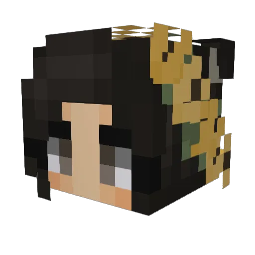 Memeotoa Minecraft avatar head, 3D render