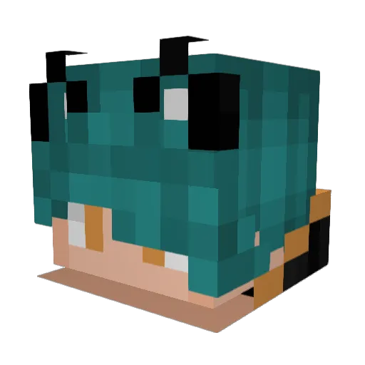Memepies23 Minecraft avatar head, 3D render