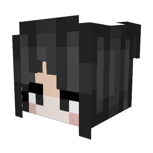Memerman992 Minecraft avatar head, 3D render
