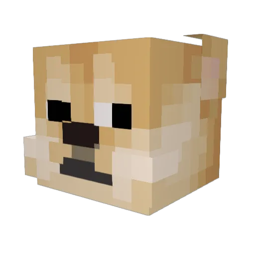 Memes1010 Minecraft avatar head, 3D render